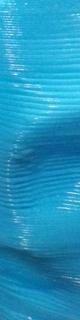 freeewilly